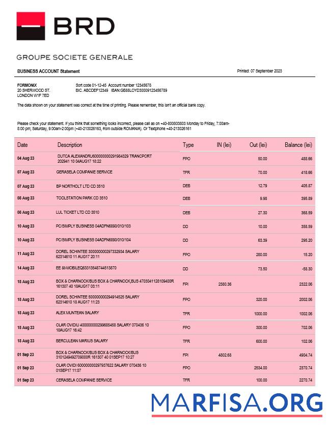 Realistic BRD Bank organization account statement Word and PDF template